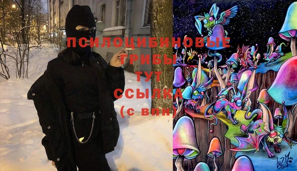 амф Белокуриха