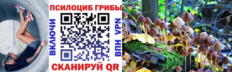 Галлюциногенные грибы Cubensis  Калуга 